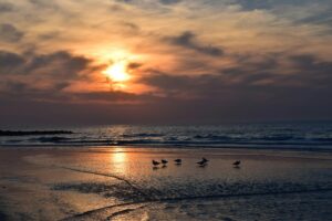 pexels-viktornagels-5969697