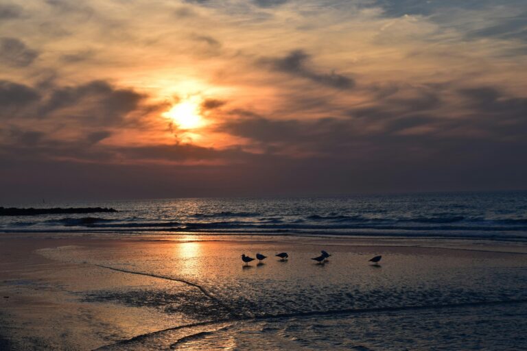 pexels-viktornagels-5969697